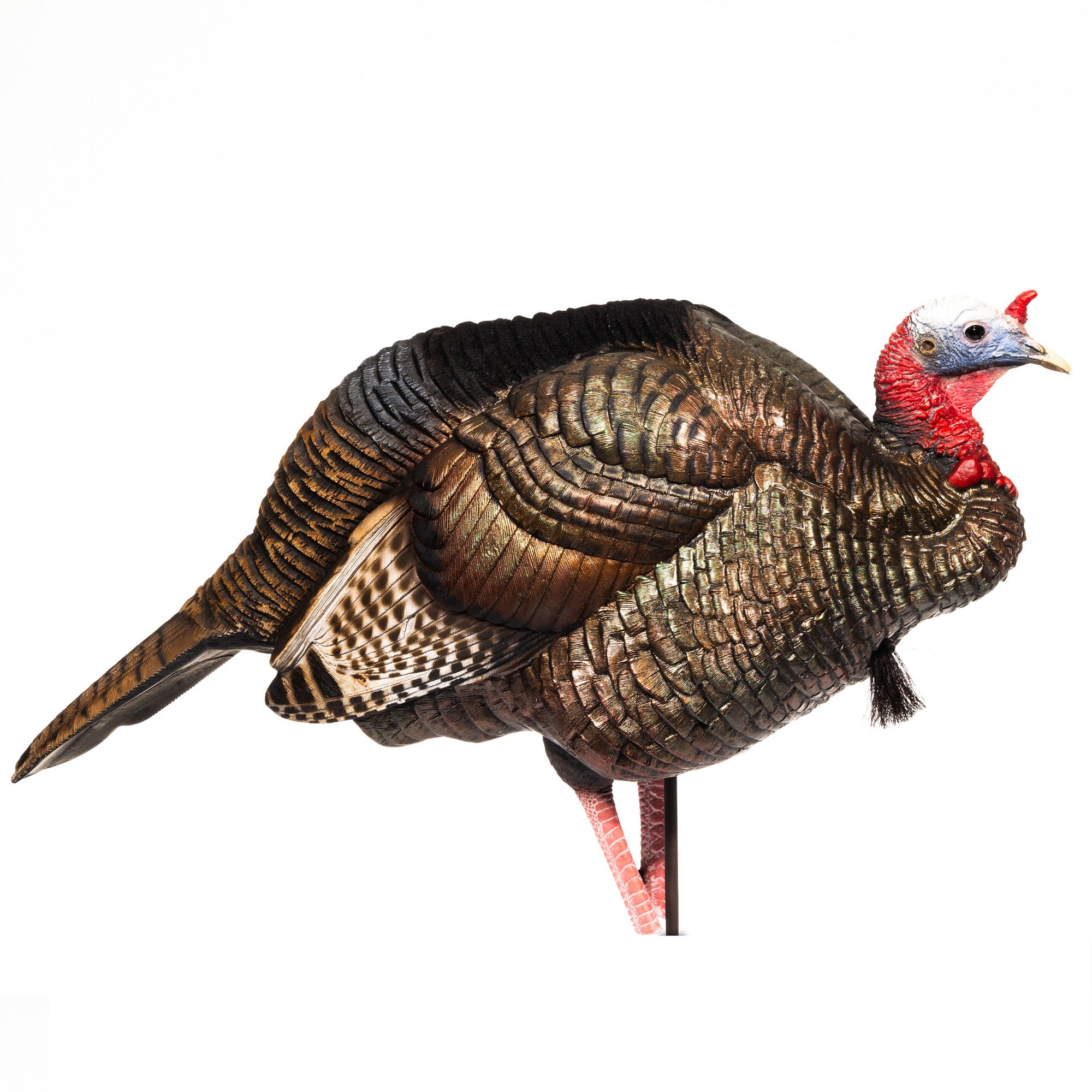 DSD 3/4 Strut Jake Decoy