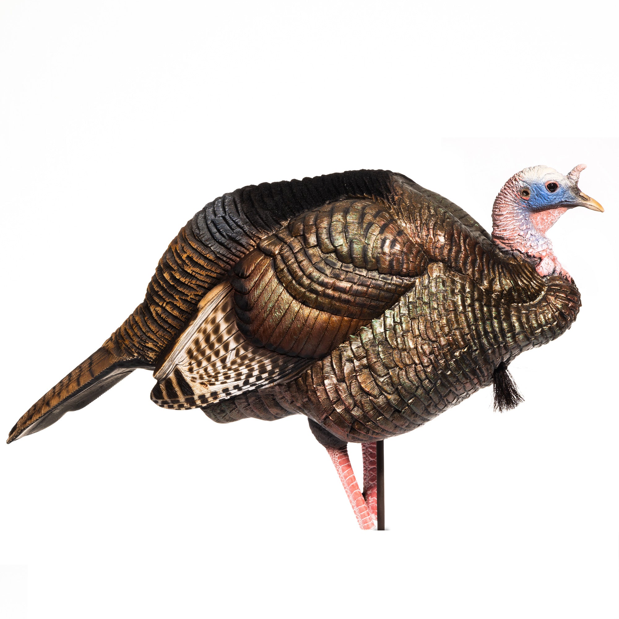DSD 3/4 Strut Jake Decoy