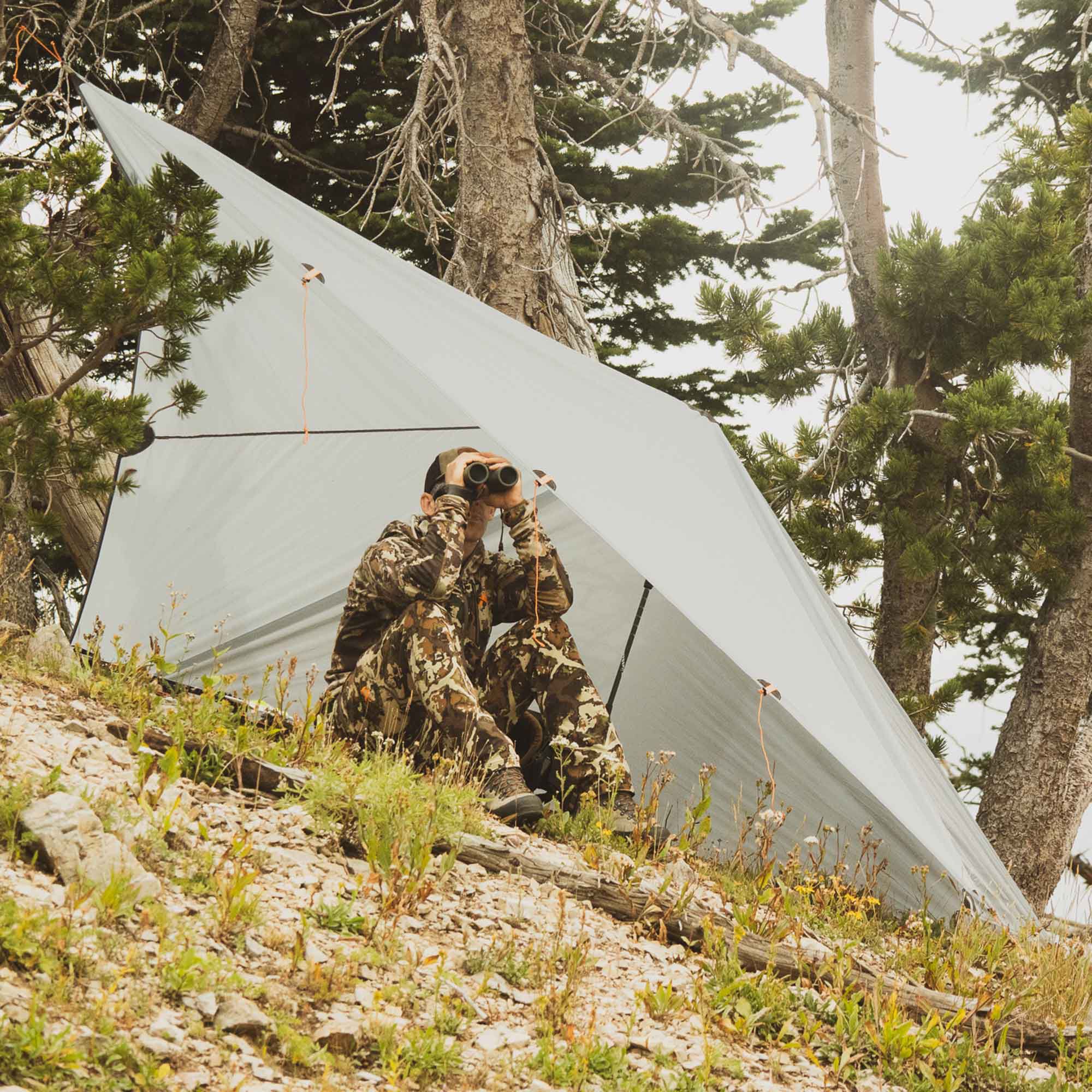 Argali Talus Tarp