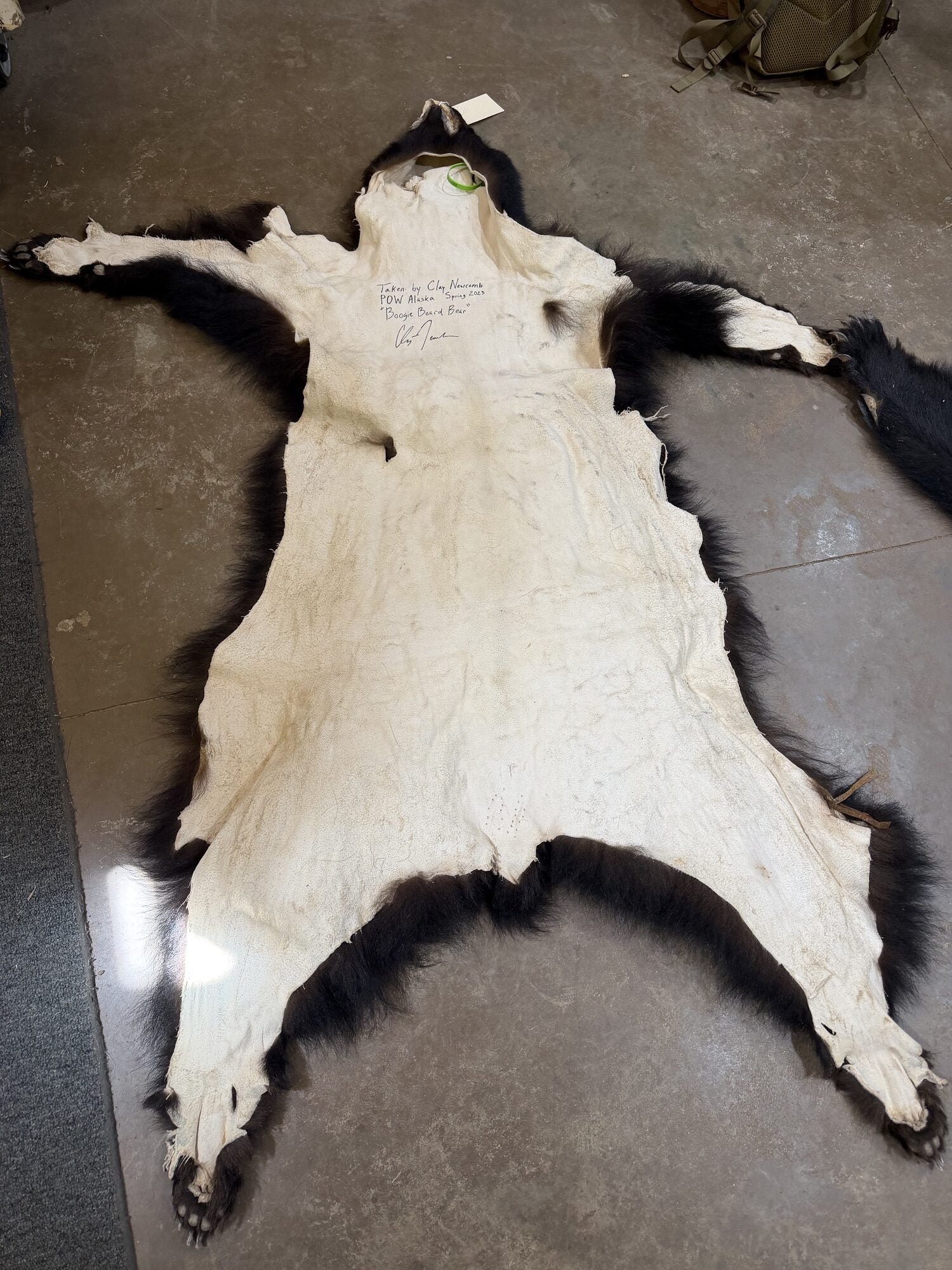 Clay Newcomb’s Alaskan Wetsuit Bear Hide