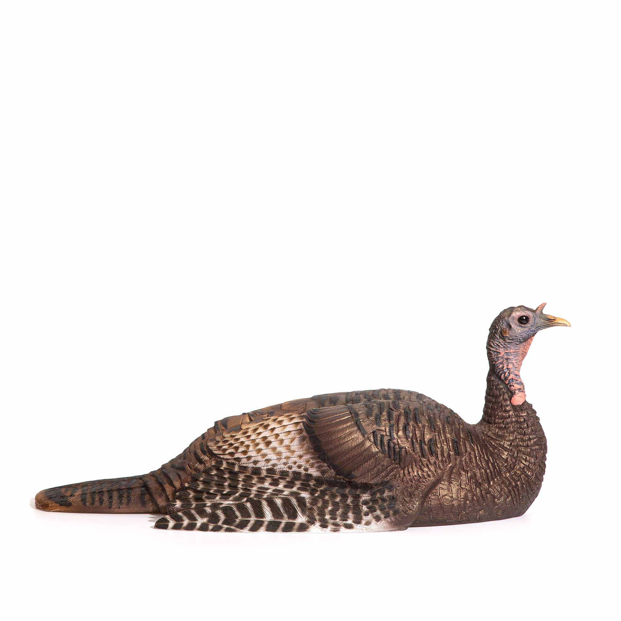 Realistic brown hen turkey decoy, lying down with detailed feathers and reddish head.