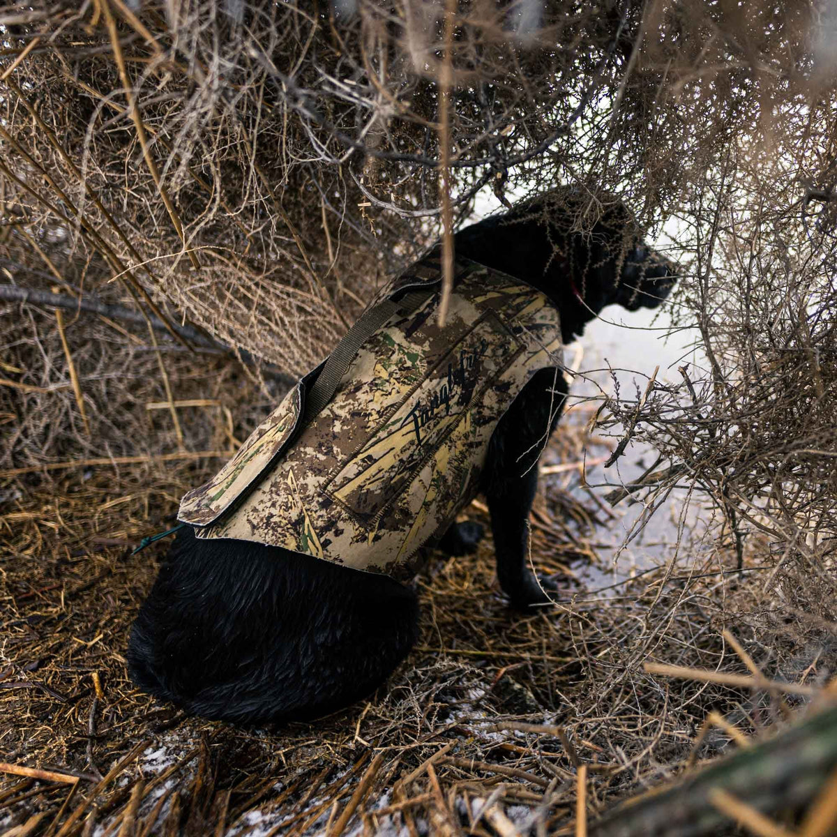 Tanglefree Dog Vest