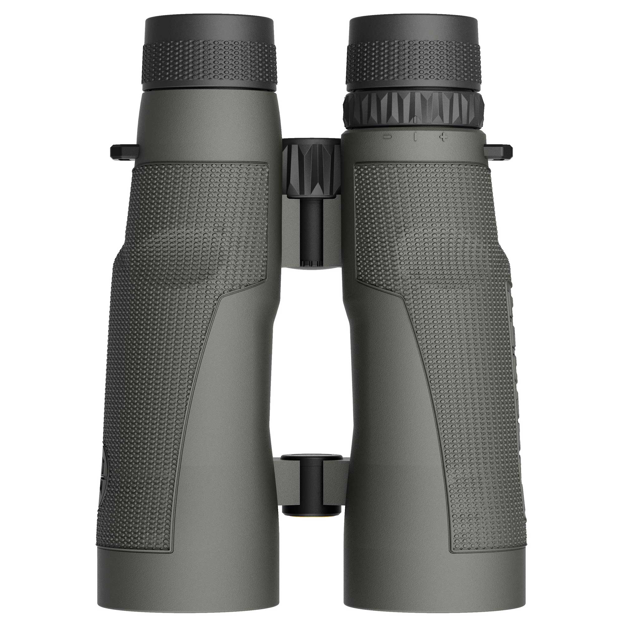Leupold BX-5 Santiam HD Binoculars 15x56