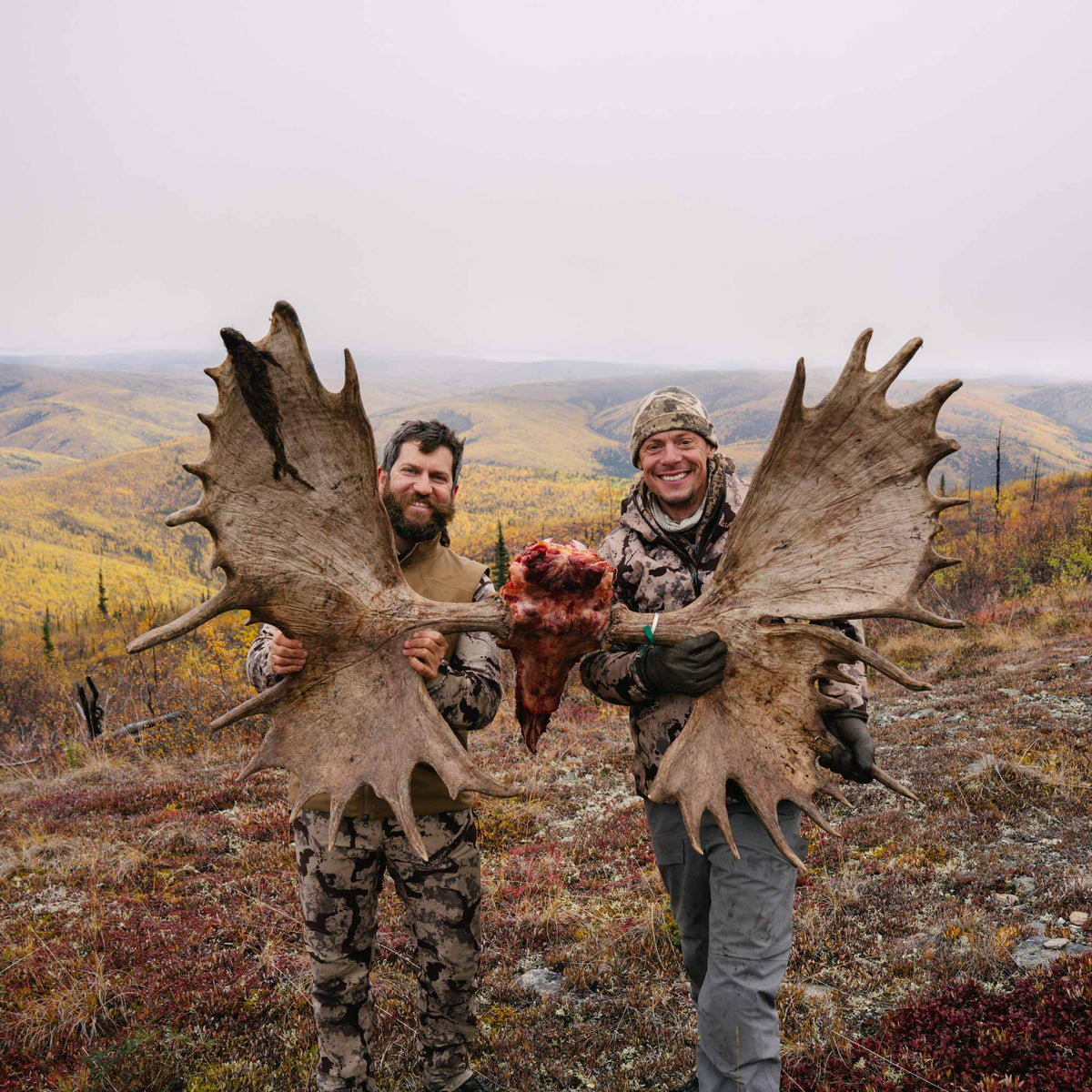 Moose Tube