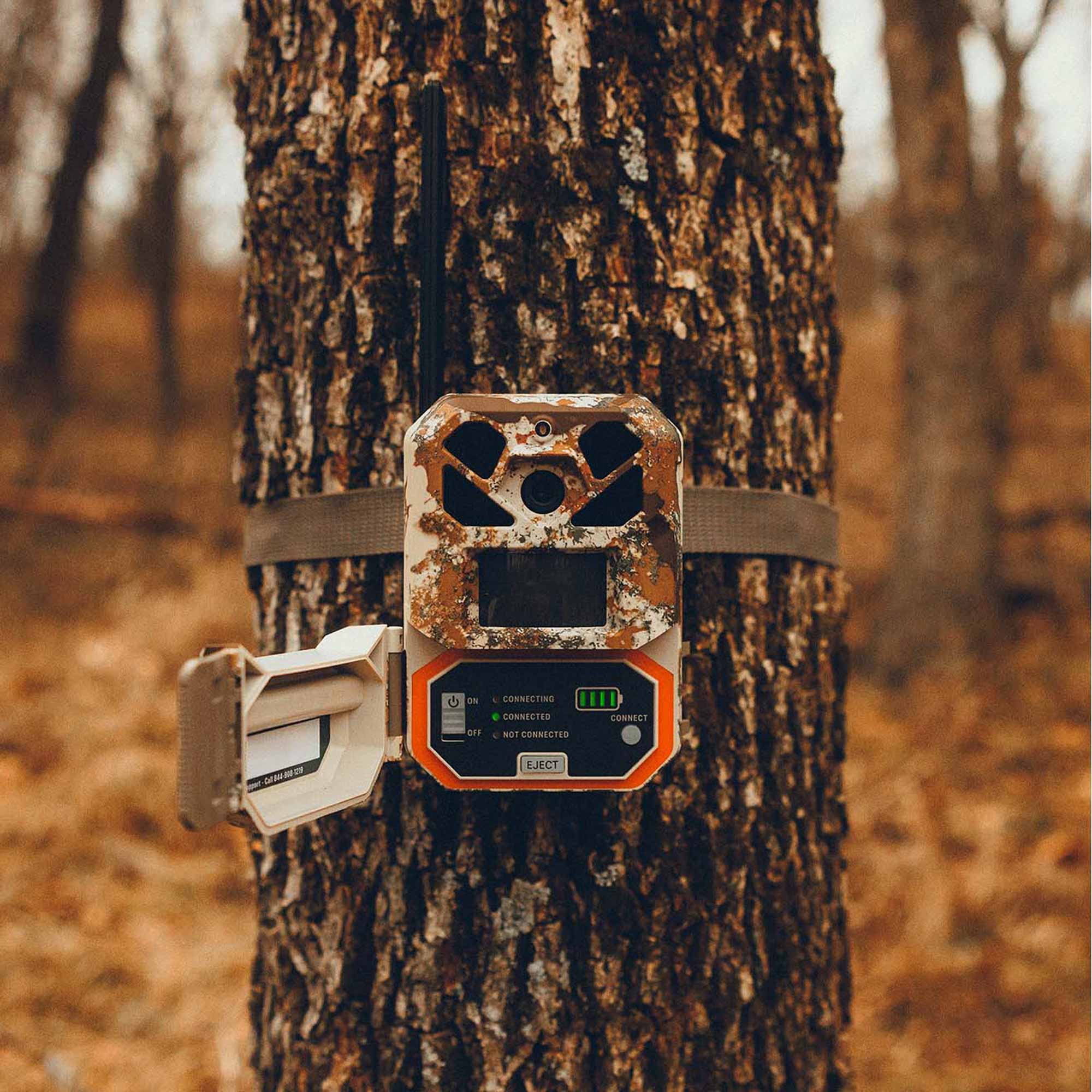 Camouflage hunting camera attached to a tree in a forest setting