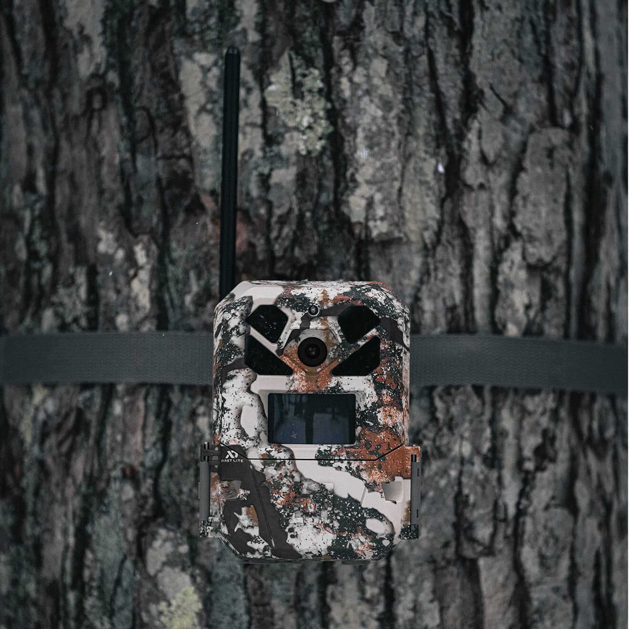 Camouflage trail camera attached to a tree trunk