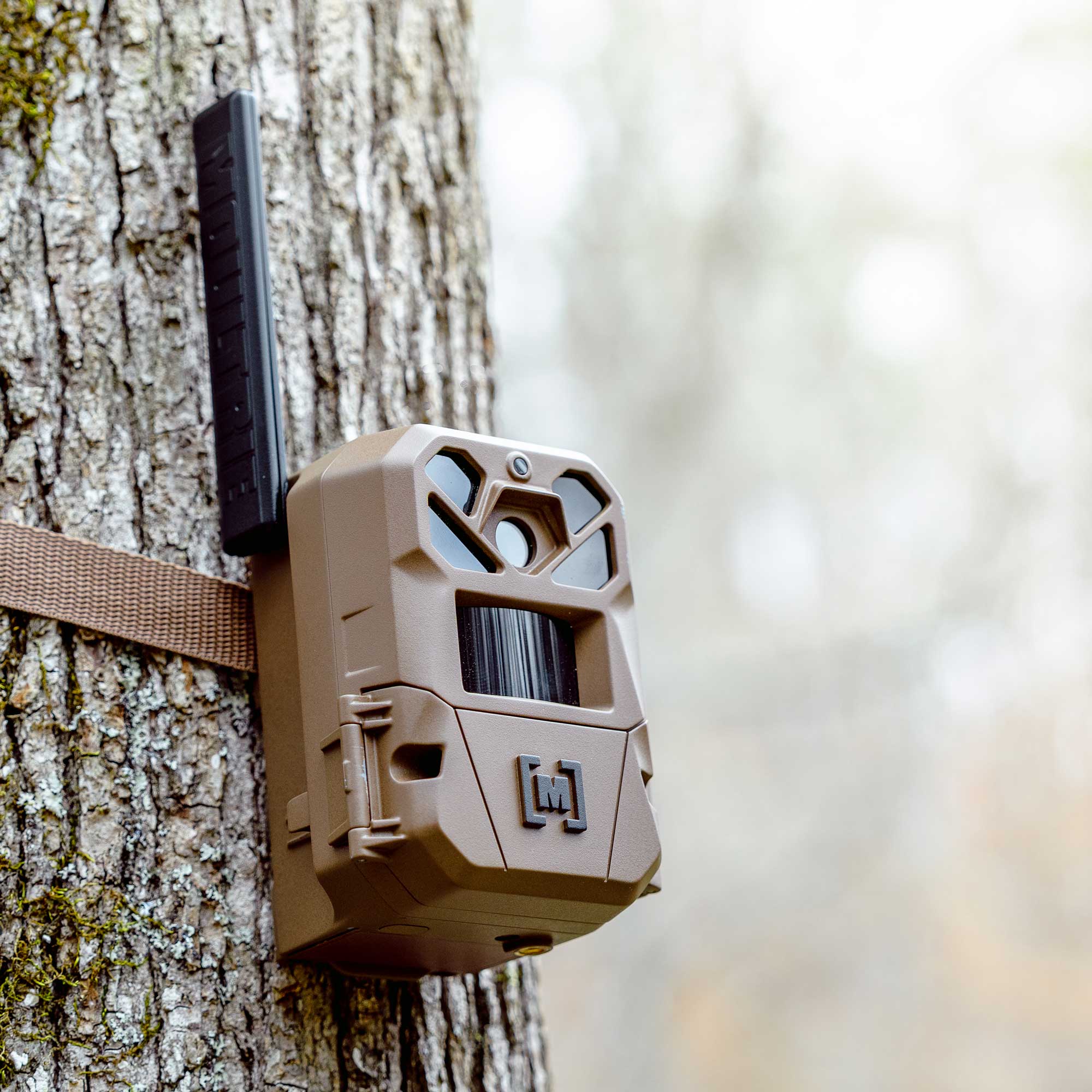 Moultrie Edge 3 Cellular Trail Camera 2 Pack