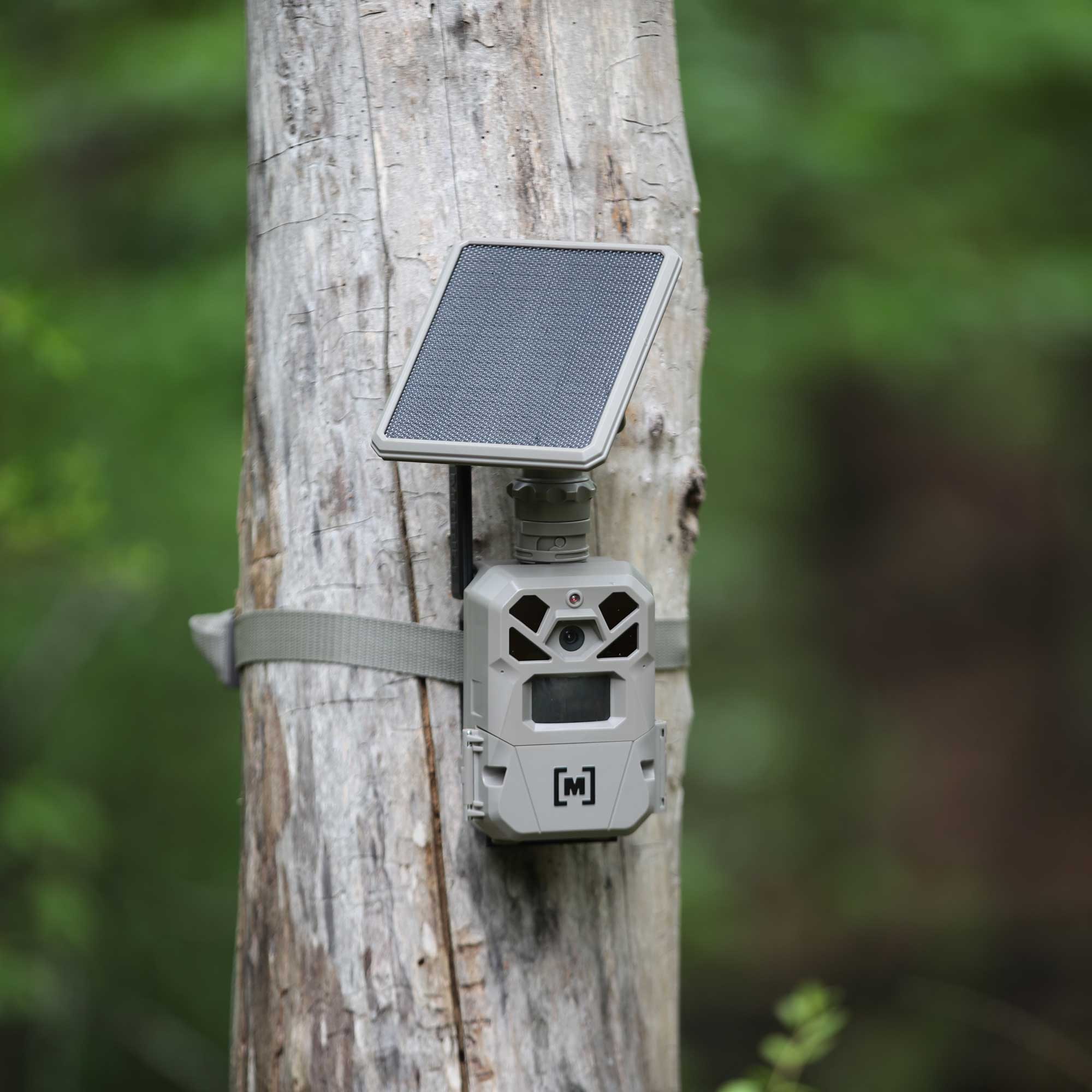 Moultrie Edge Solar Cellular Trail Camera