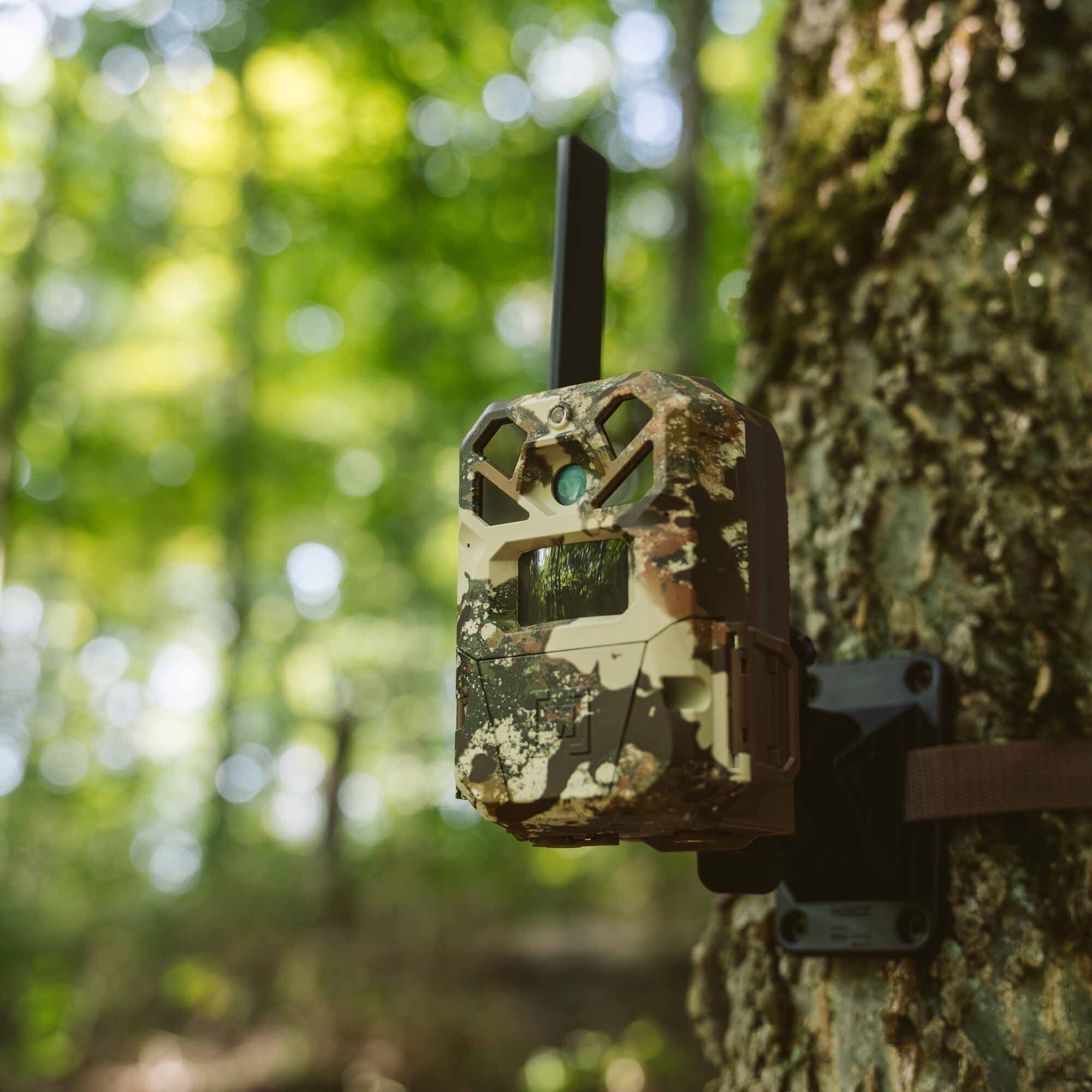 Moultrie Mobile EDGE 2 x First Lite Trail Camera