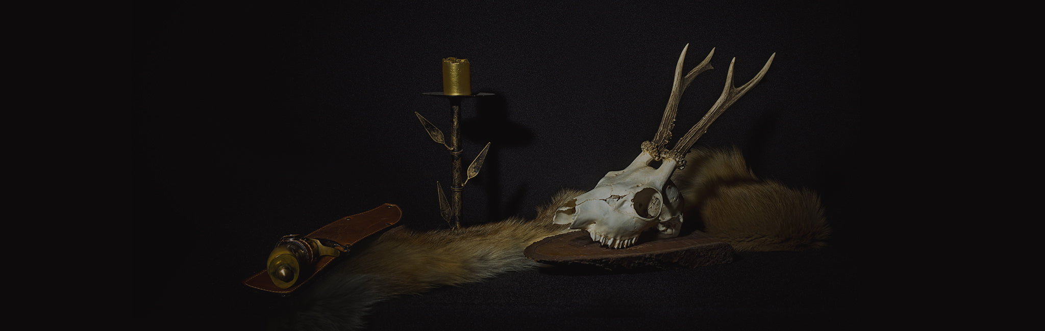 Auction House of Oddities