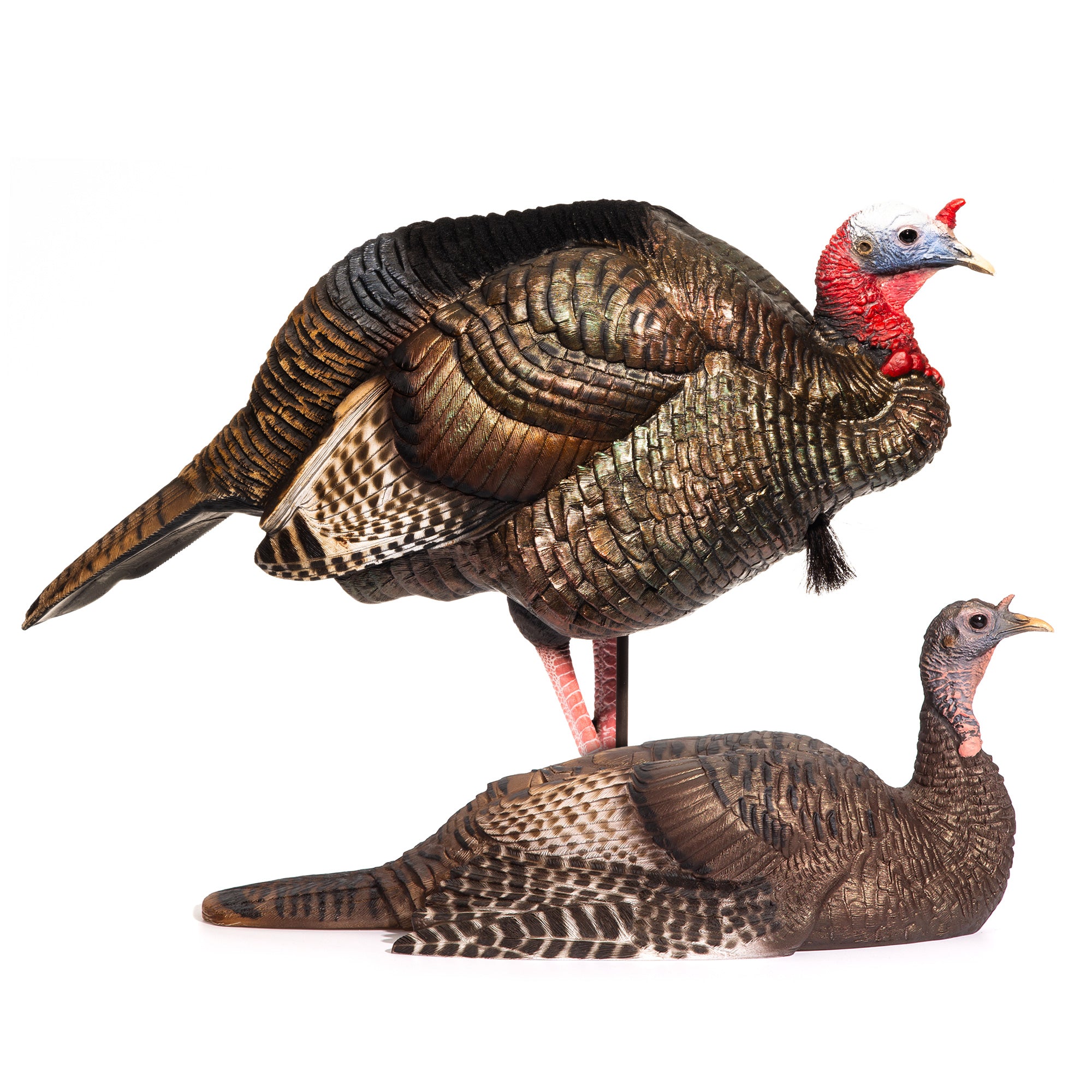 DSD Mating Motion Pair