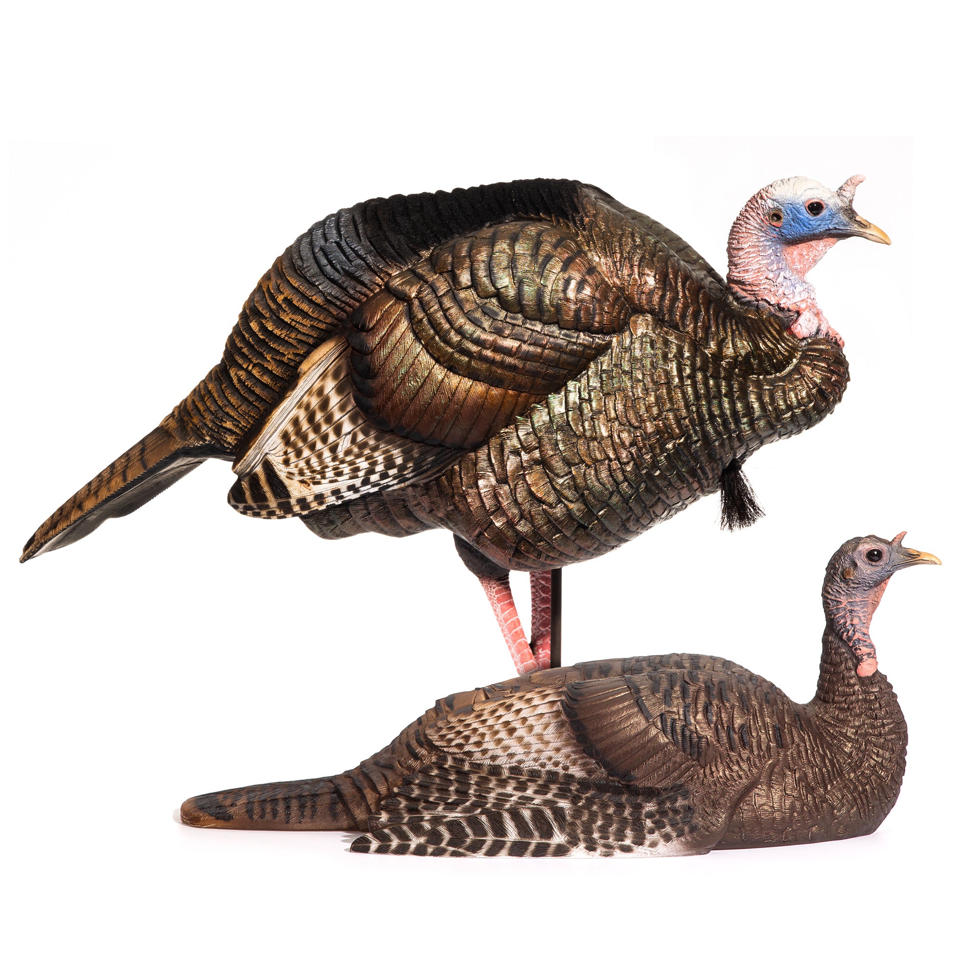 DSD Mating Motion Pair