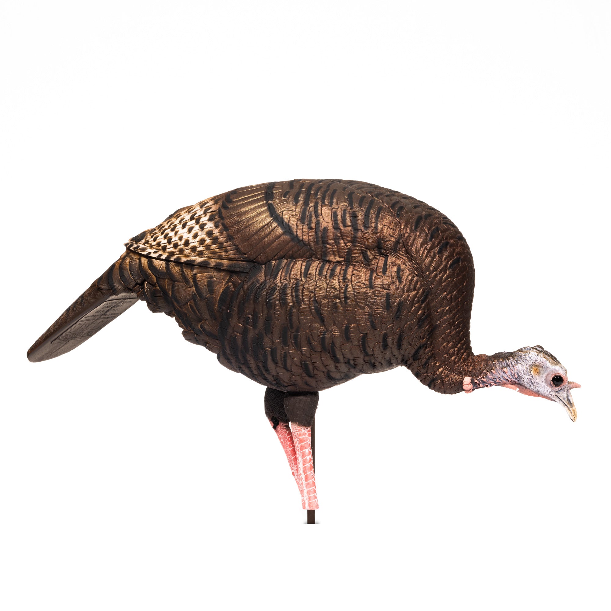 DSD Feeding Hen Decoy