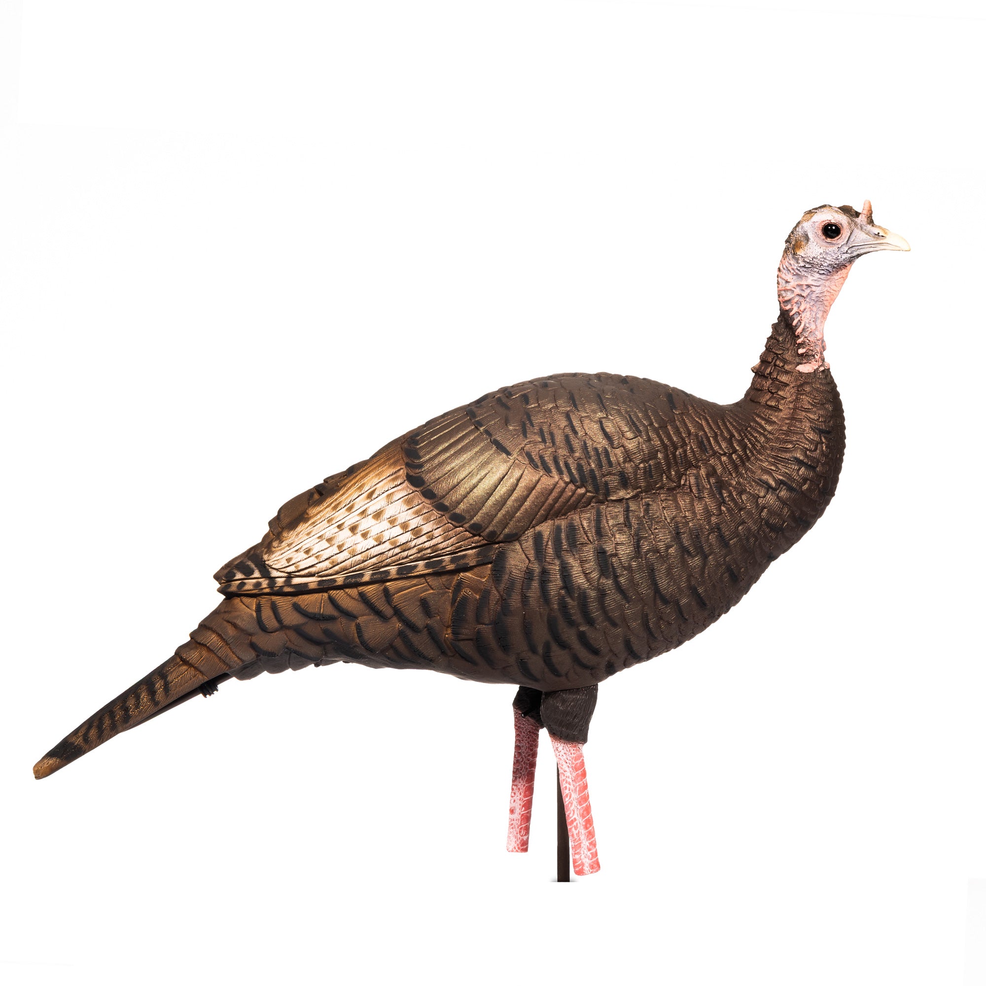 DSD Upright Hen Decoy