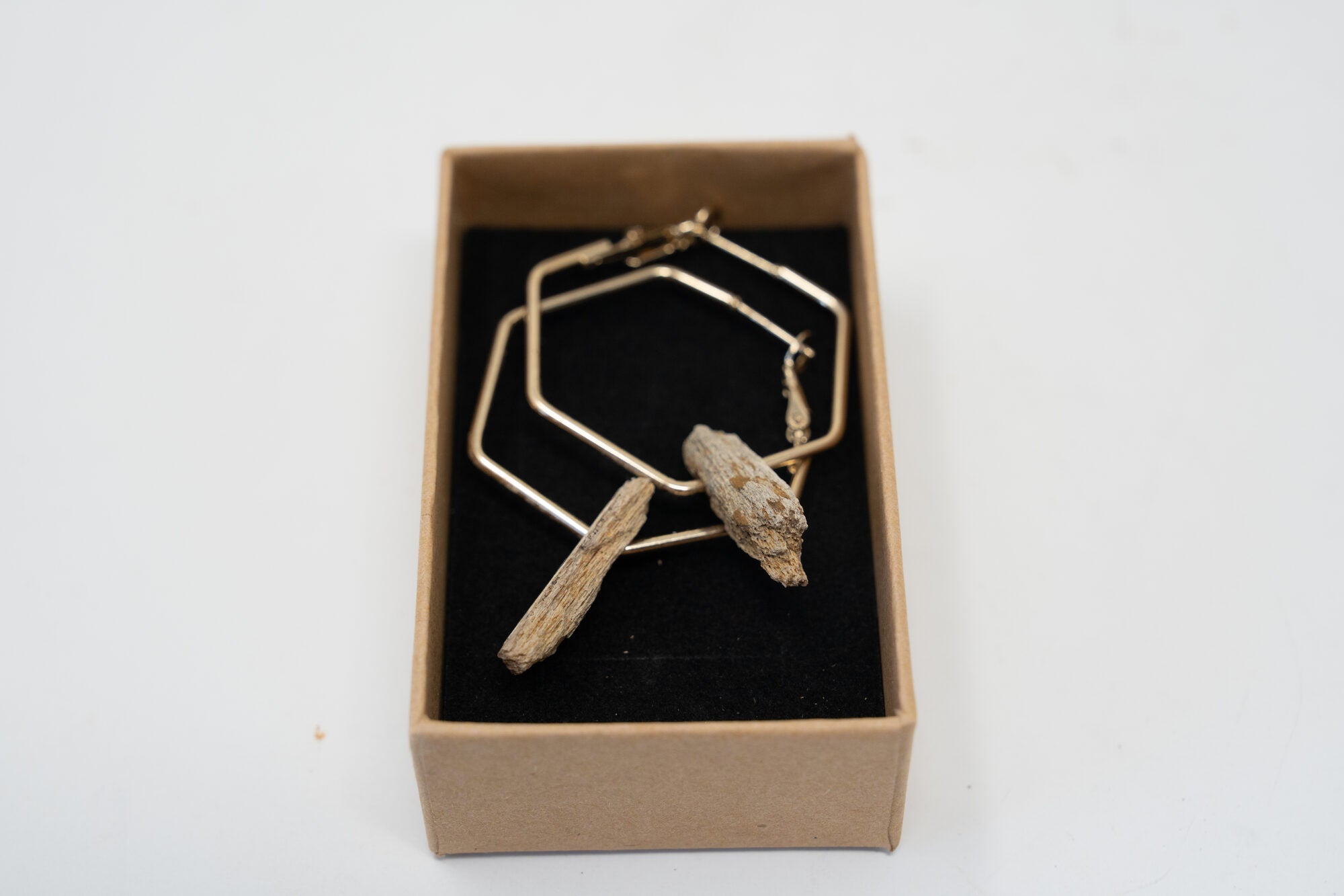 Handmade Dinosaur Bone Earrings