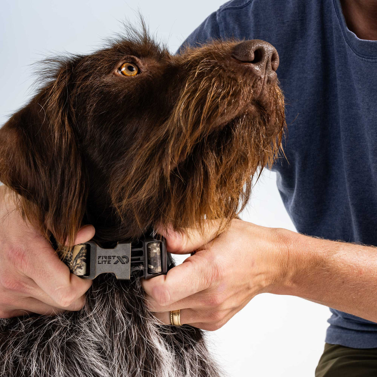 First Lite Dog Collar