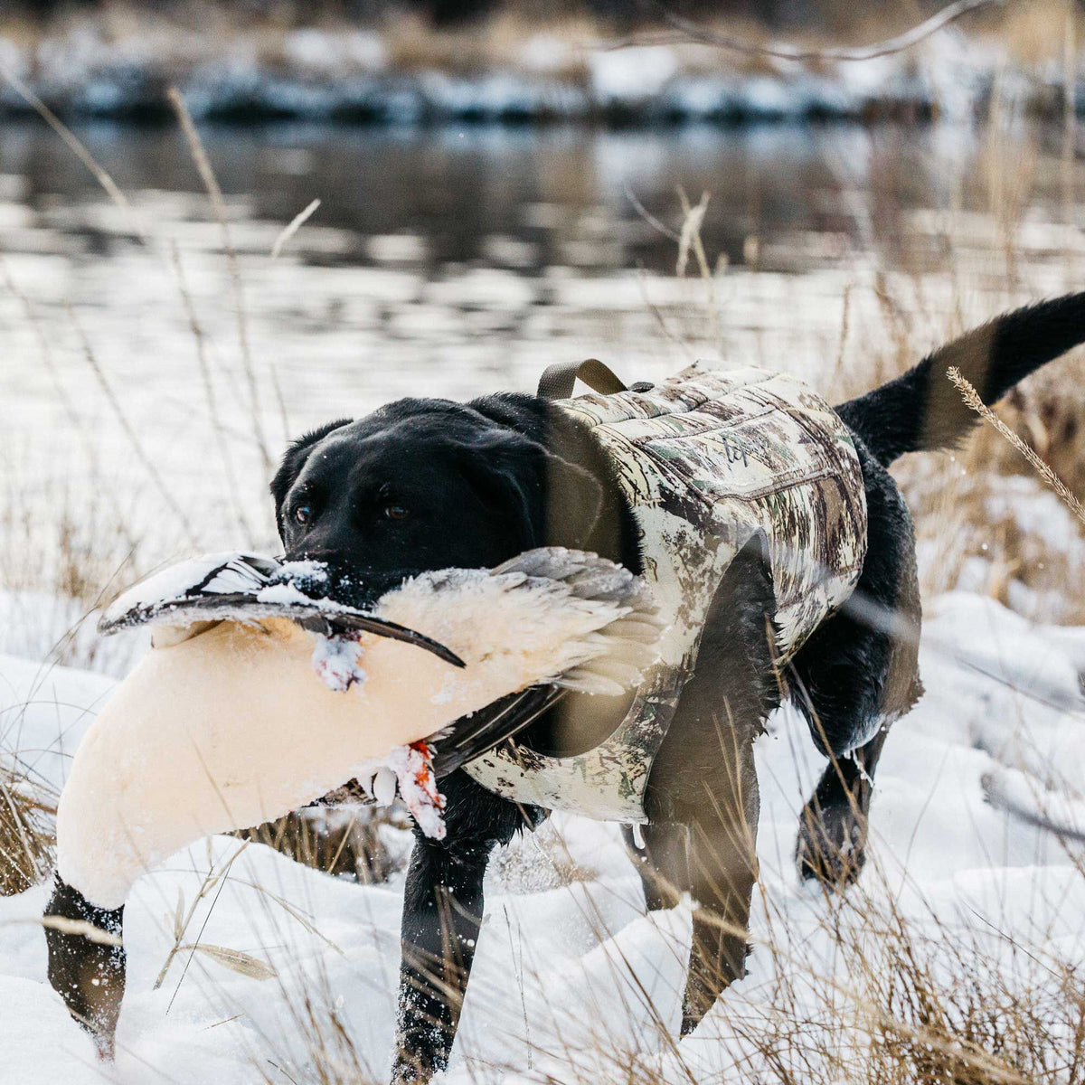 Tanglefree Dog Vest