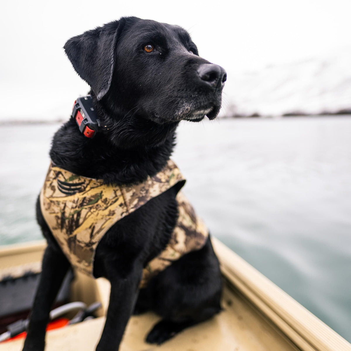 Tanglefree Dog Vest
