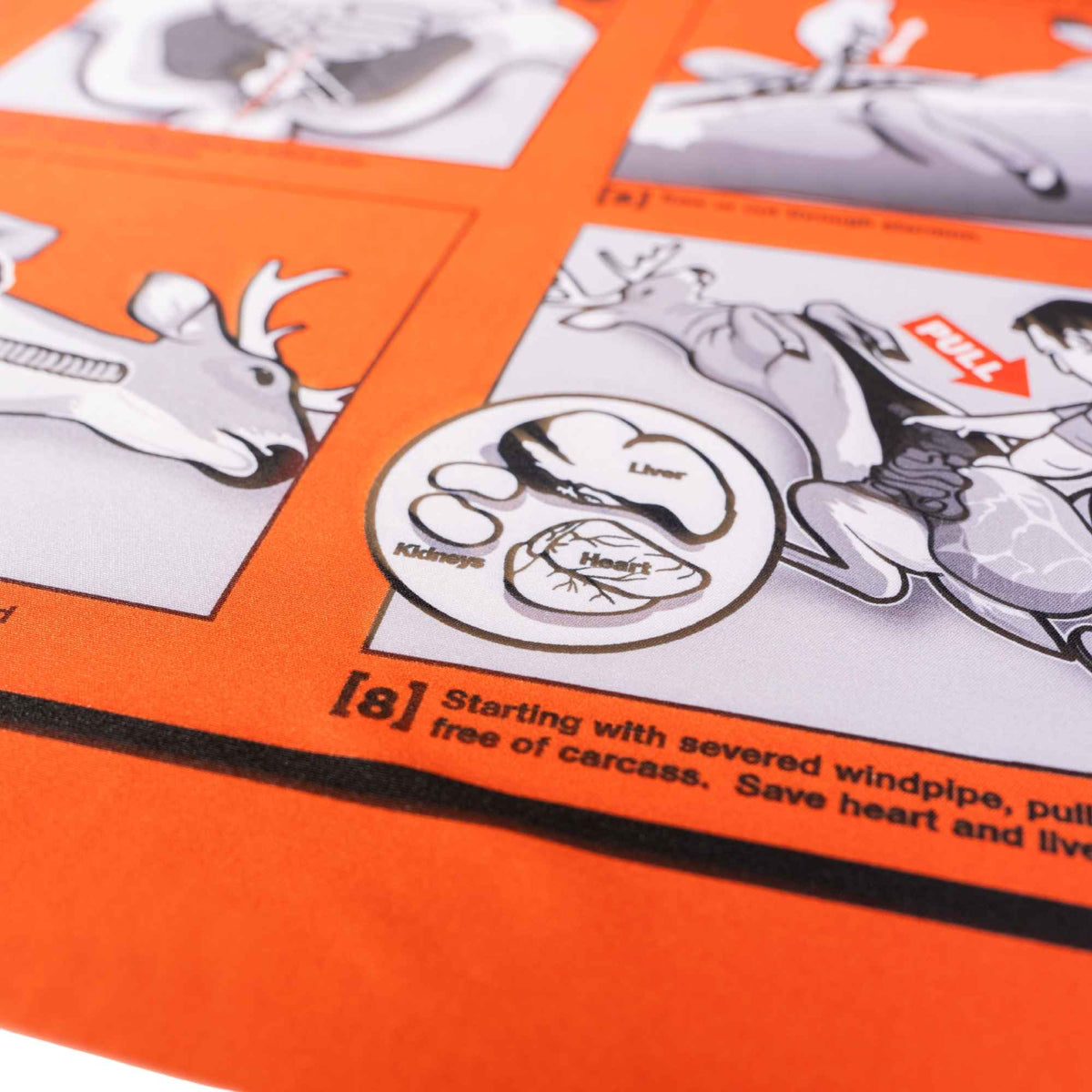 Close up to the eigth step of the orange bandana on how to gut a buck.