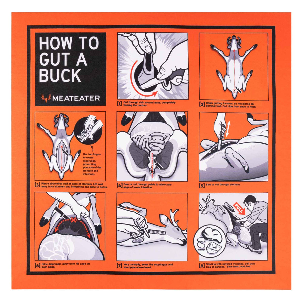 Orange bandana with 8 steps on how to gut a deer.