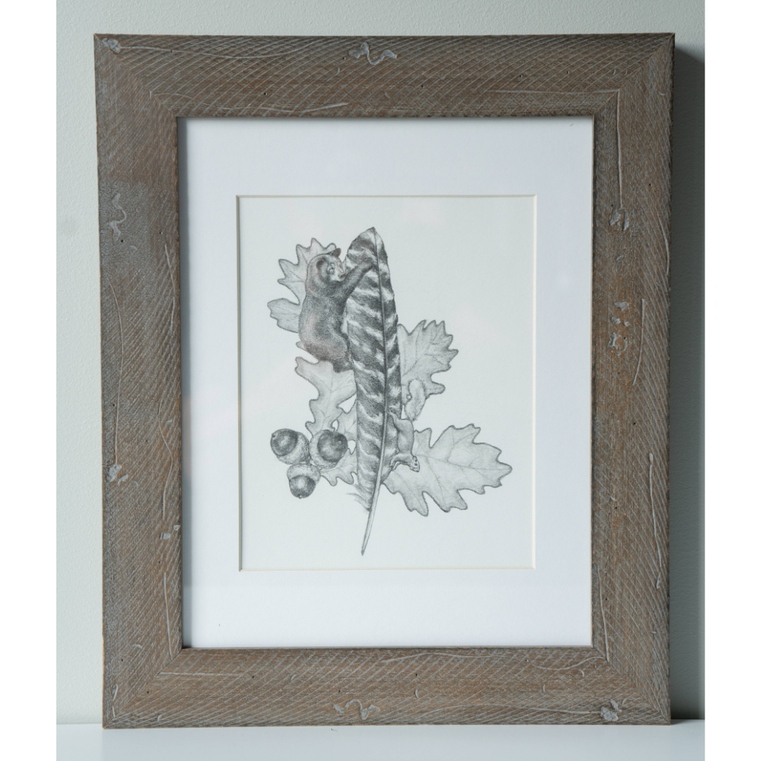 Weathered brown framed art print of a small animal on a feather with oak leaves.