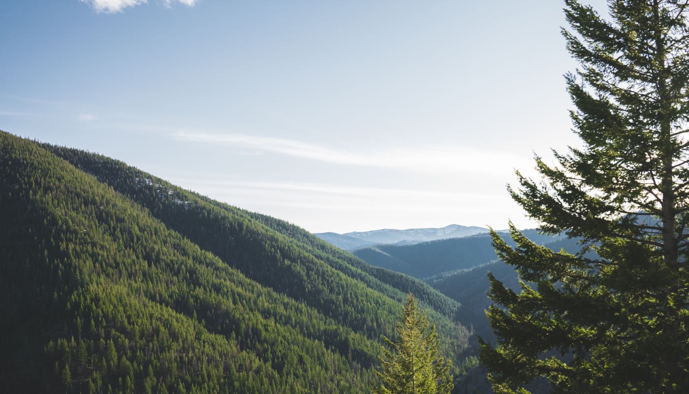 Scenic view of a mountainous landscape with trees and a clear sky.