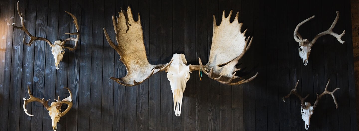 MeatEater Flagship Store