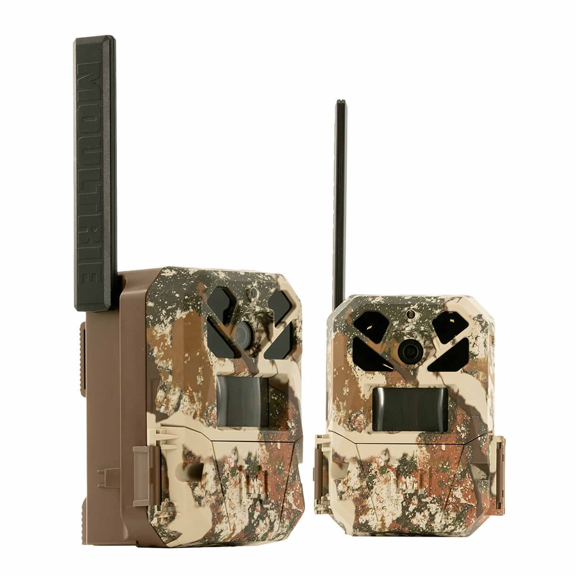 michi　レース付1級遮光　モカブラウン　200㎝×230㎝ 2セット moultrie-edge-3-first-lite-2-