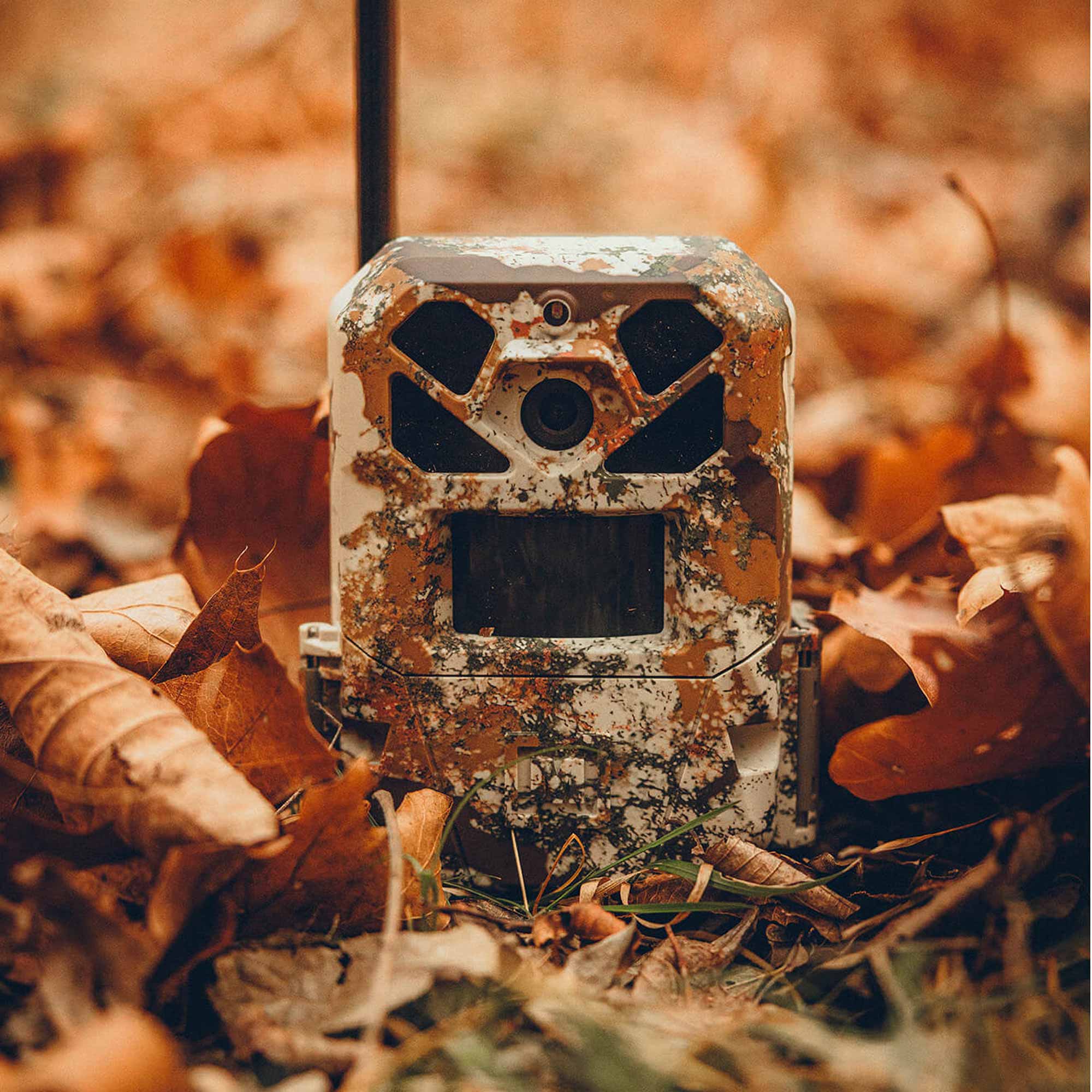 Camouflage hunting camera in a forest setting with leaves and grass.