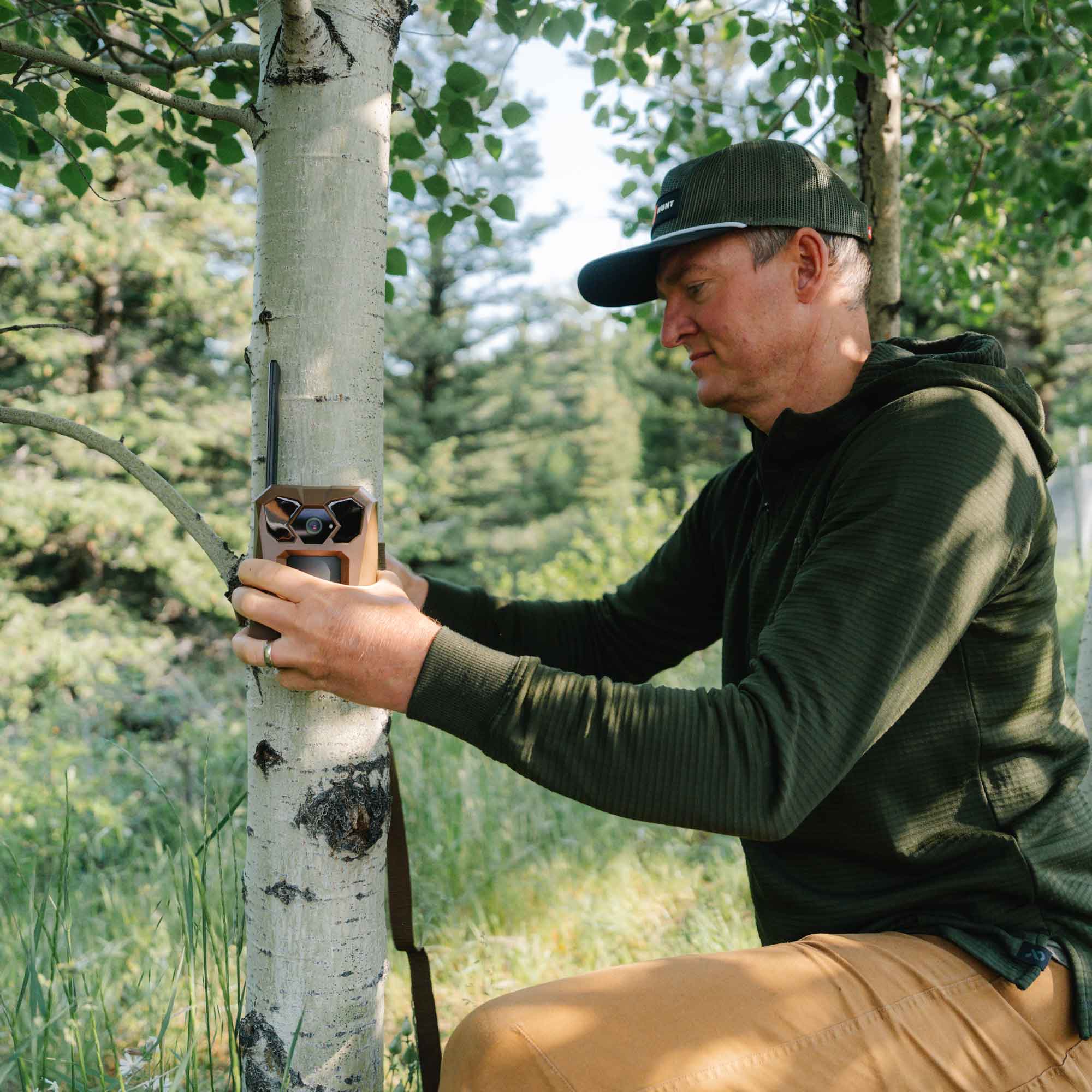 A man in a forest setting holds a trail camera mounted on a birch tree trunk.