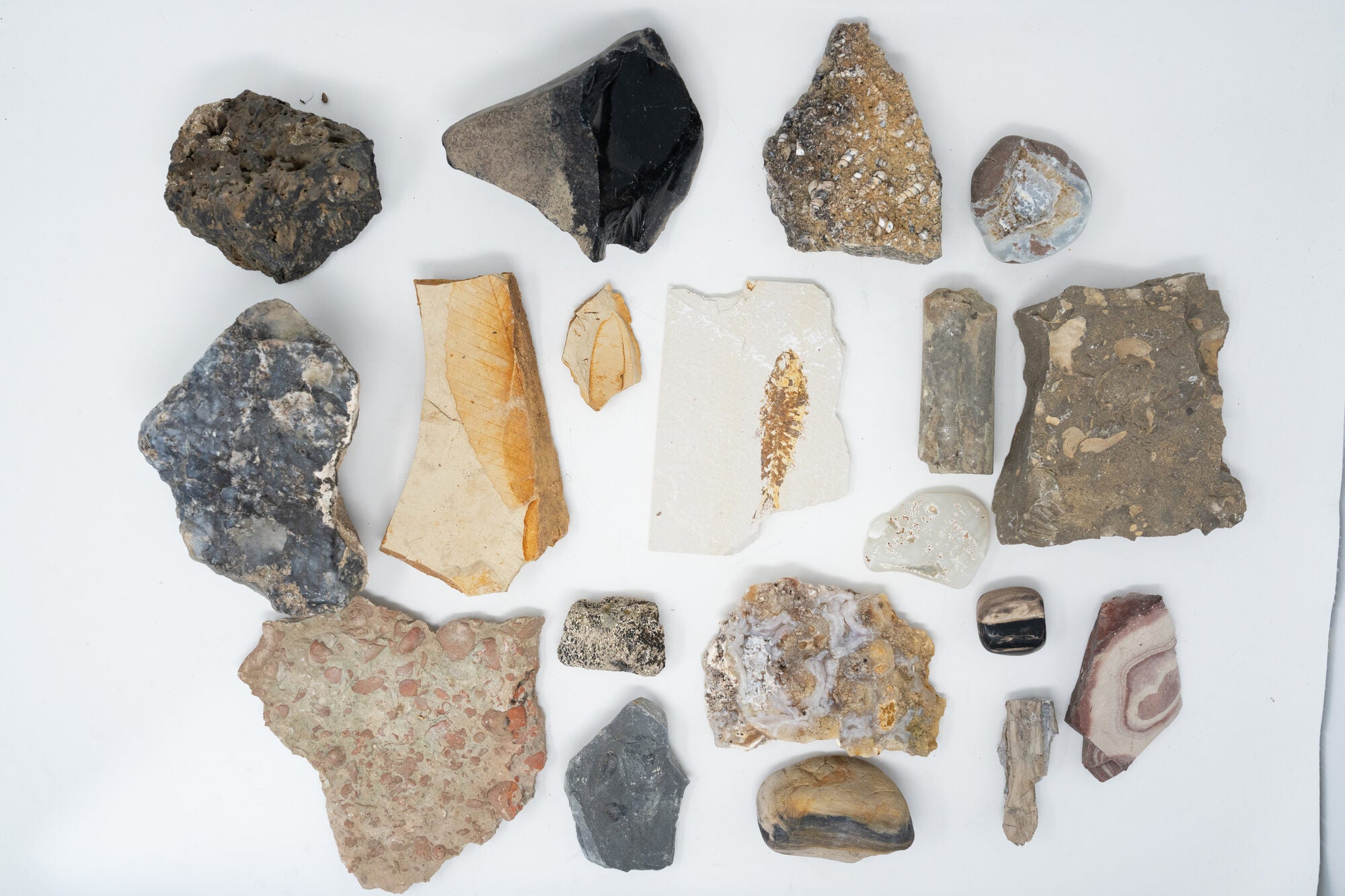 Box of Rocks, Fossils, and Gemstones