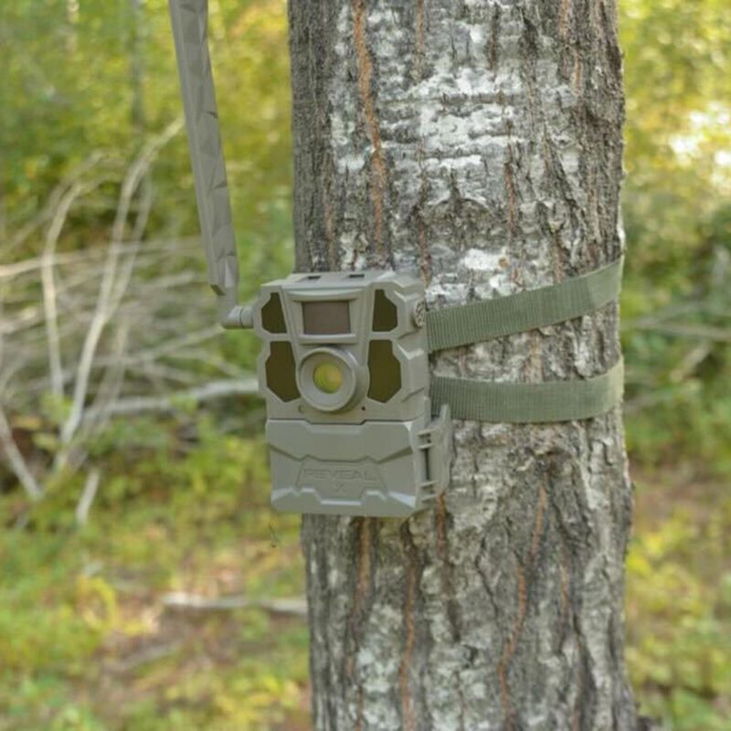 REVEAL X-Pro Trail Camera image number 6