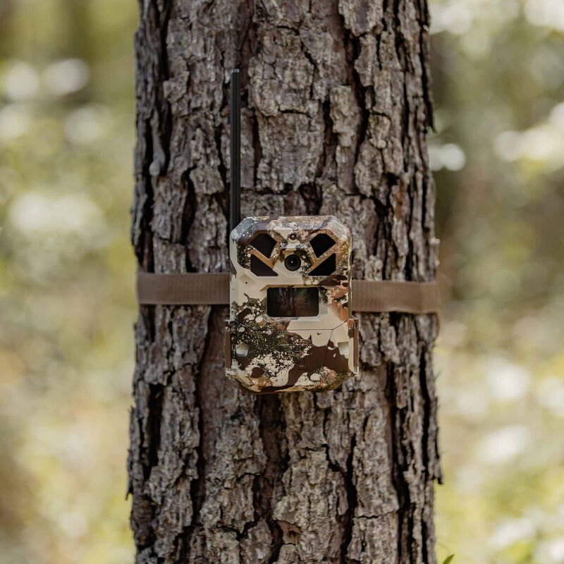 Moultrie Mobile EDGE 2 PRO x First Lite Trail Camera image number 6