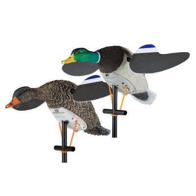Lucky Duck Lucky Pair II