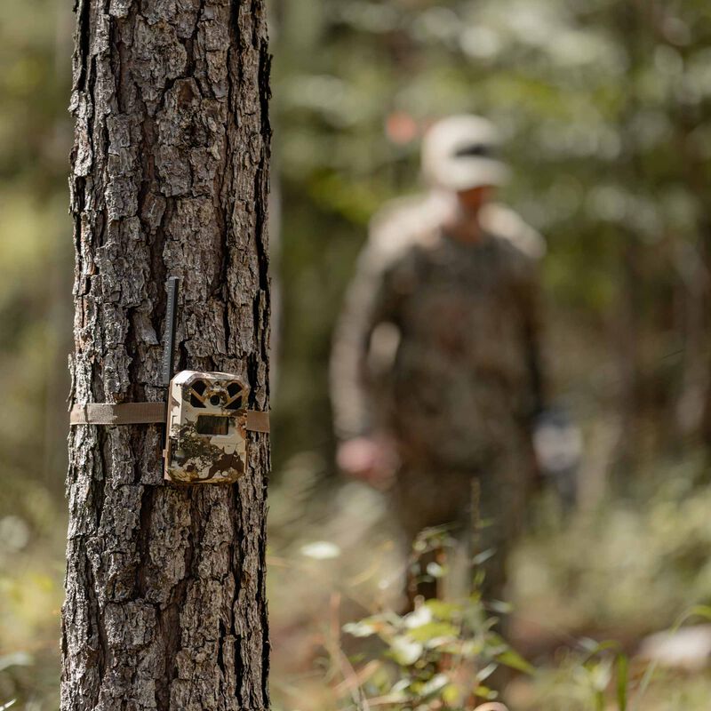 Moultrie Mobile EDGE 2 PRO x First Lite Trail Camera image number 4