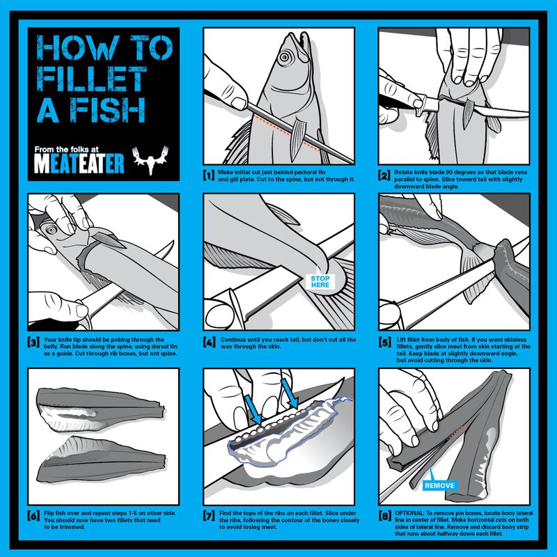 How to Fillet a Fish Bandana image number 0