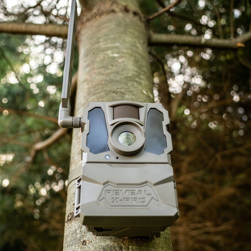 REVEAL X-Pro Trail Camera image number 4
