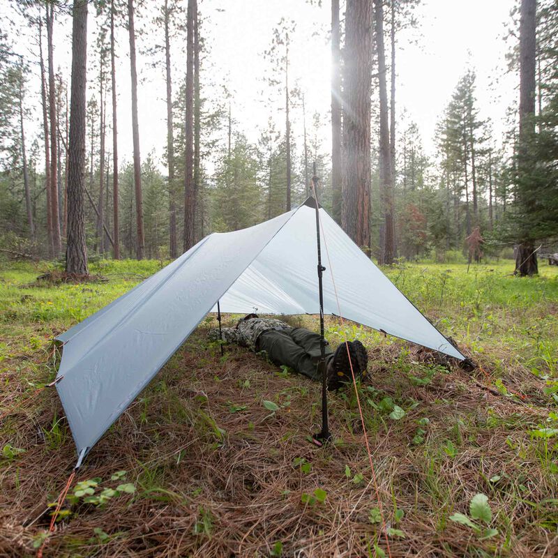 Argali Talus Tarp image number 5