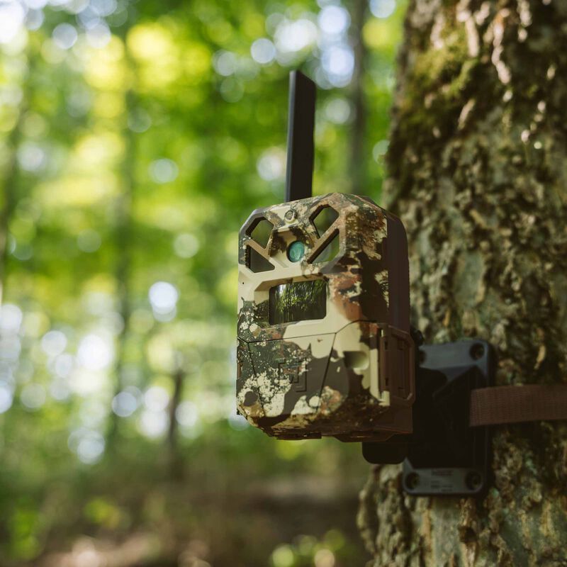 Moultrie Mobile EDGE 2 x First Lite Trail Camera image number 7