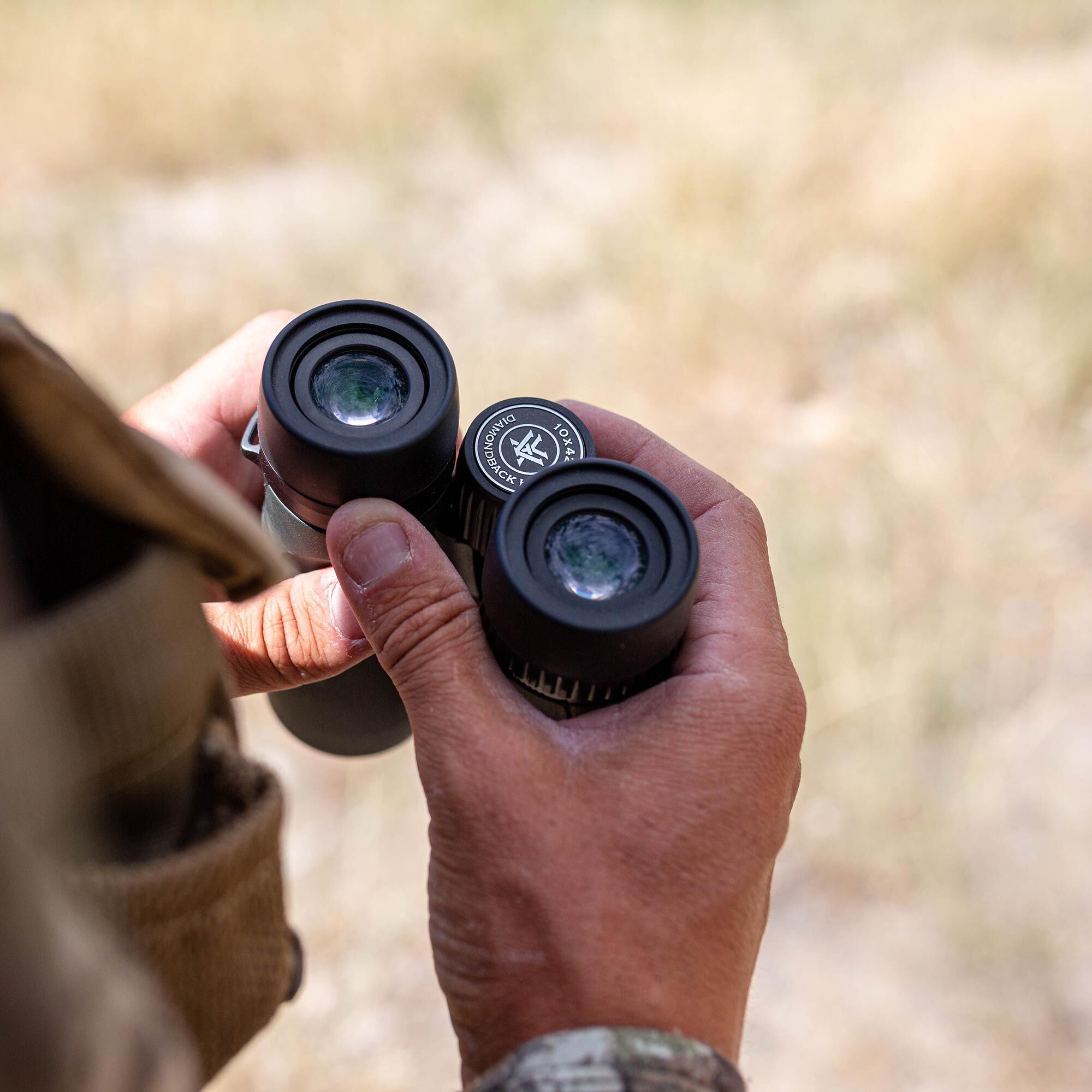 Vortex diamondback 10x42 binoculars best sale for sale