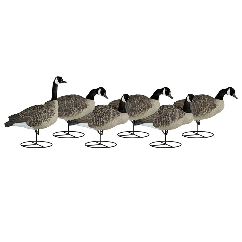Dakota Decoy Honker Upright 6 Pack with Flocked Heads image number 0