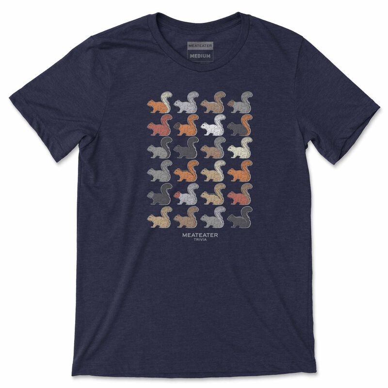 Fox Squirrels T-Shirt image number 0
