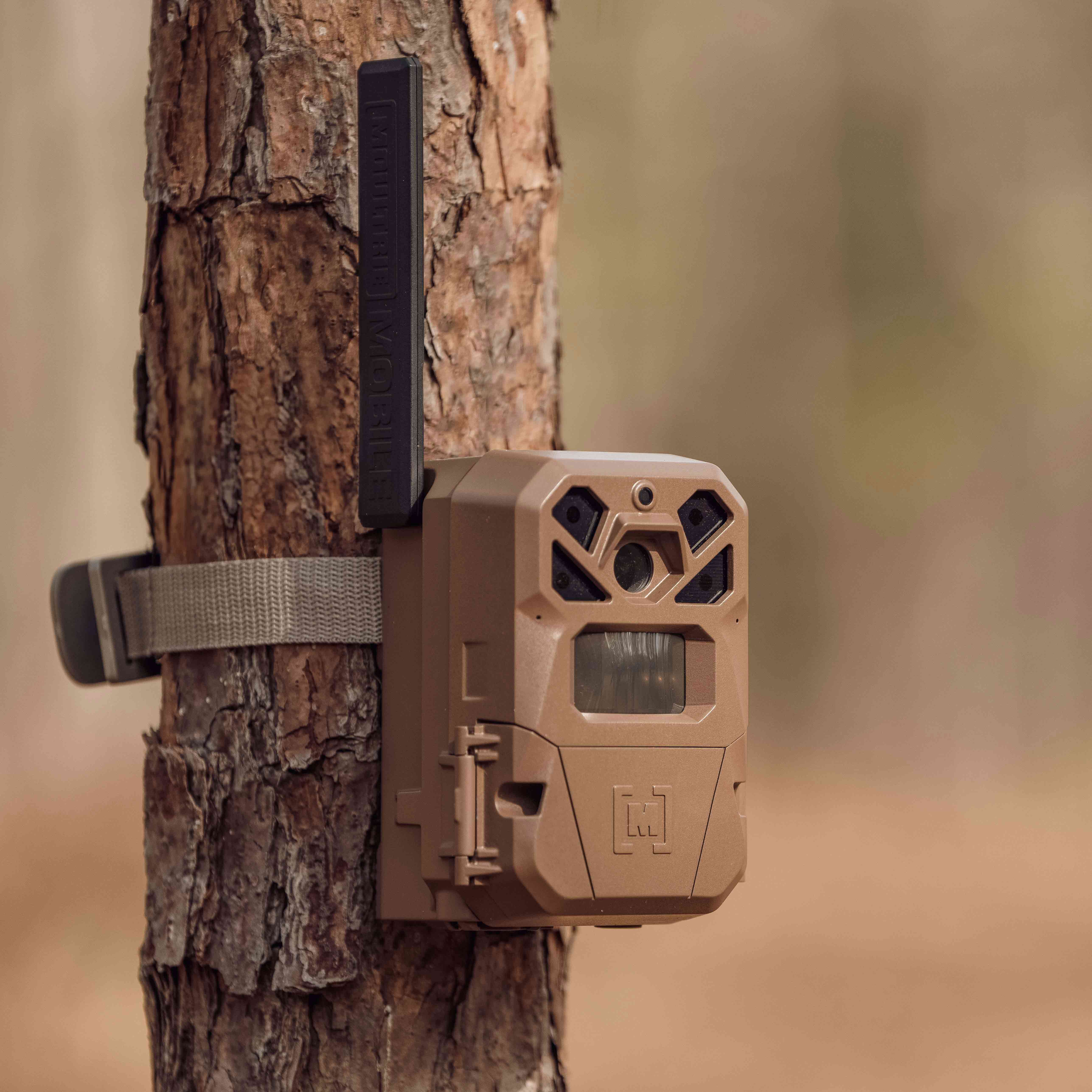 Moultrie edge trail shops cameras