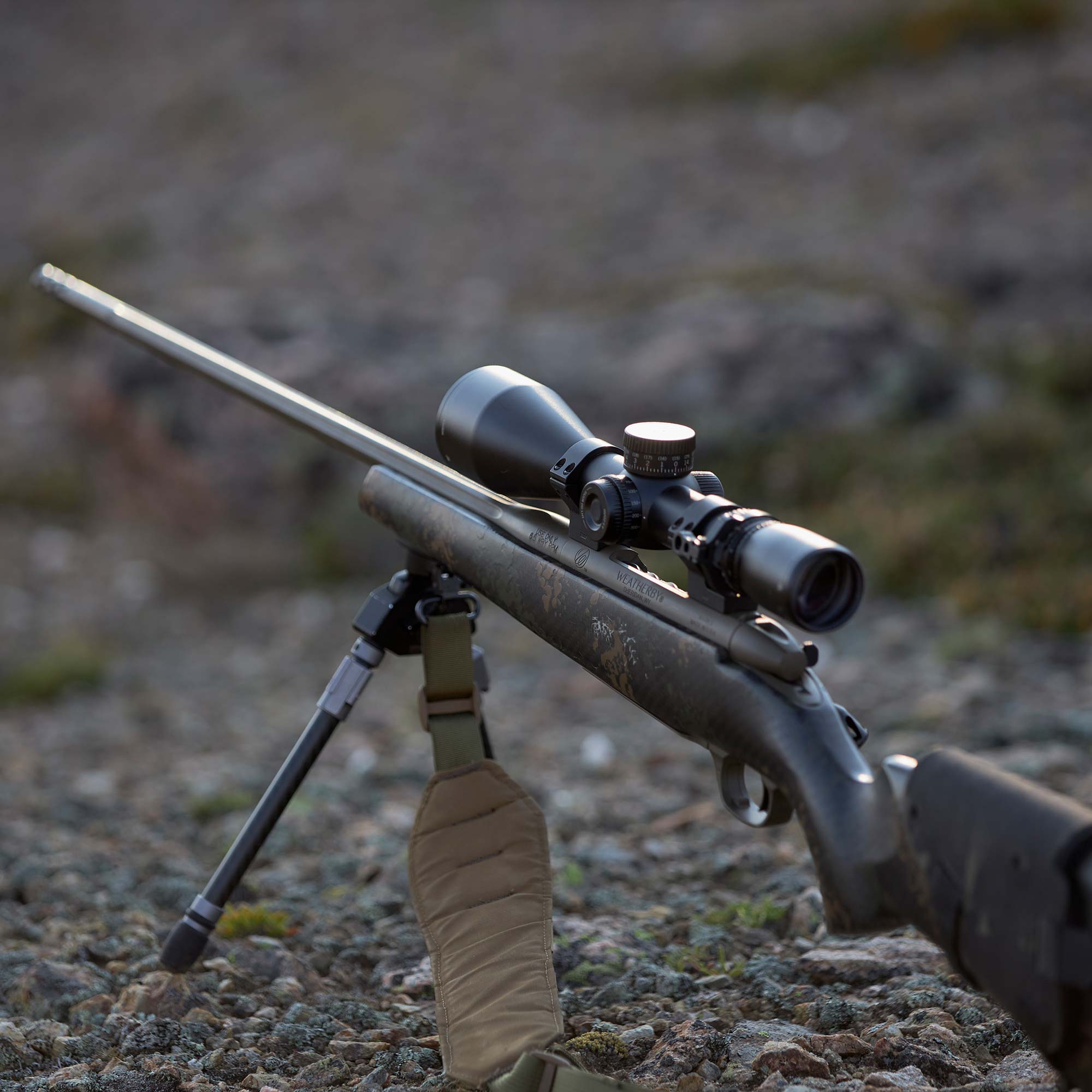 Vortex Razor HD LHT 3-15x42 Riflescope | MeatEater